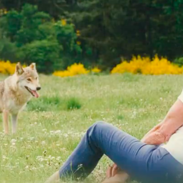 Fallece Brigitte Bardot a los 91 años. La actriz francesa, ícono de los años 60, murió este domingo. Más allá del cine, Bardot dedicó la mitad de su vida al activismo radical por los derechos de los animales