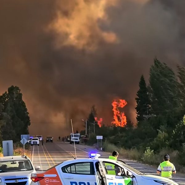 La Patagonia bajo fuego y abandono estatal. Más de 21.000 hectáreas arrasadas en Chubut mientras denuncian un recorte del 78% en el presupuesto del Manejo del Fuego por parte del gobierno de Milei.