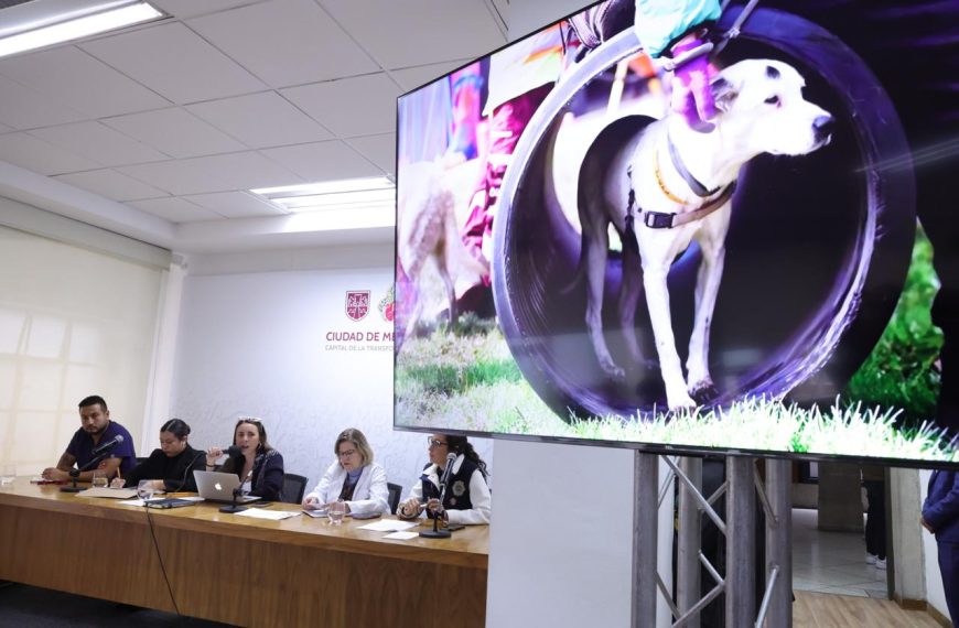 CONFIRMAN 6 MUERTES Y 171 PERROS EN ESTADO DELICADO TRAS OPERATIVO EN EL REFUGIO FRANCISCANO; ACTIVISTAS LOGRAN ACUERDO PARA VISITAR A LOS CANES ESTE JUEVES EN LA GAM TRAS MESAS DE DIÁLOGO