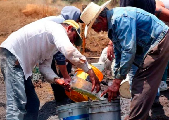 Fuerte golpe al huachicol: Marina desactiva 7 tomas en Puebla y decomisan 99 mil litros de combustible en Querétaro