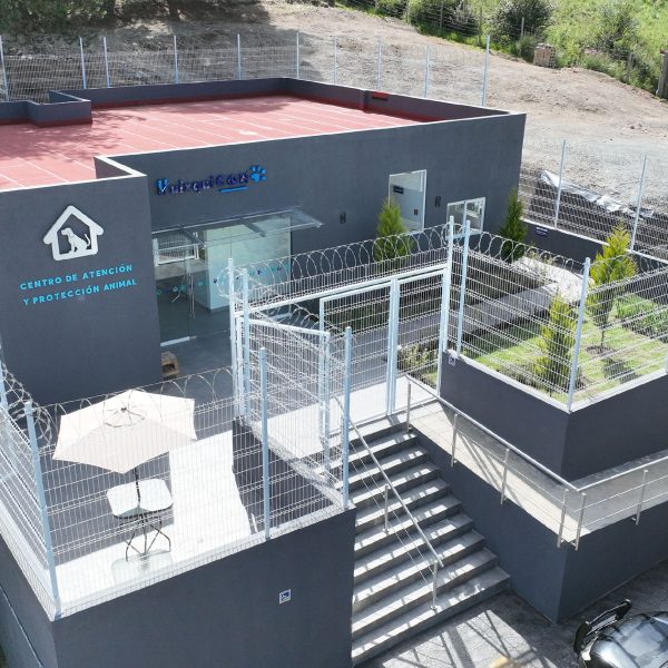 A través de «Huixquican», el gobierno de Romina Contreras ha salvado la vida de más de 4,900 mascotas