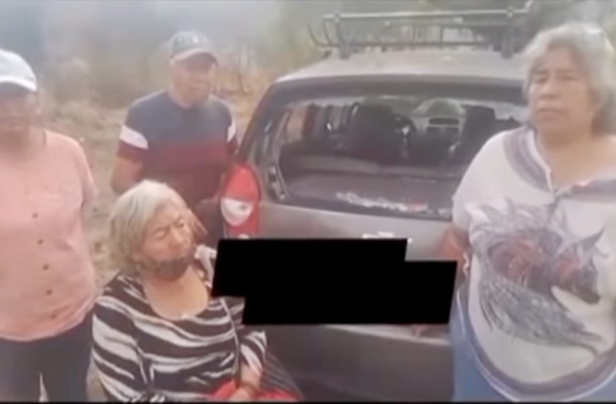 Brutal ataque contra Hortensia Telésforo, activista de San Gregorio Atlapulco, tras frenar una obra hídrica ilegal en #Xochimilco